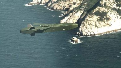 ماذا تعرف عن صواريخ “توروس”؟