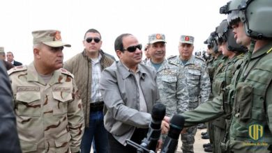 كل ما تريد أن تعرف عن القوات الجوية المصرية