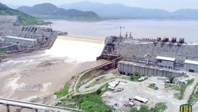 وزير الري السوداني: بناء سد النهضة بلا اتفاق ملزم “تهديد مباشر”