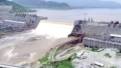 وزير الري السوداني: بناء سد النهضة بلا اتفاق ملزم “تهديد مباشر”