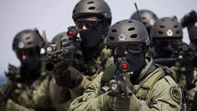 الأبحاث الجينية تقتحم المجال العسكري.. جيوش من المستنسخين في حروب المستقبل