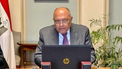 وزير الخارجية المصري يرد على تصريحات إثيوبيا بشأن المواجهة العسكرية (فيديو)