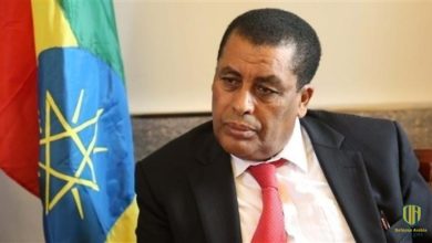 الخارجية الإثيوبية: إنتصرنا على مصر والسودان