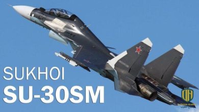 بالفيديو: المقاتلة الروسية “Su-30SM” تضرب مواقع المسلحين في إدلب