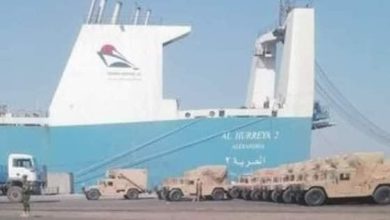 من مناورات “نسور النيل” إلى “حماة النيل”