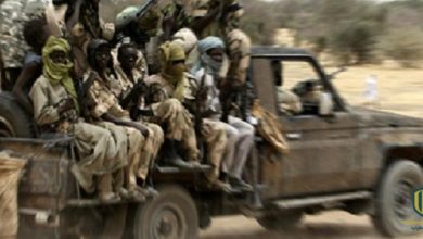 مليشيات إثيوبية تتوغل داخل أراضي السودان