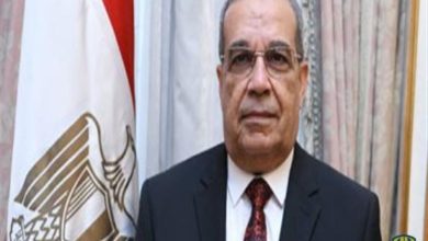 مصر.. وزير الإنتاج الحربي يناقش مع وزير دفاع كوريا الجنوبية سبل تعزيز التعاون المشترك