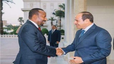 الرئيس المصري ورئيس الوزراء الإثيوبي يتوصلان إلى اتفاق بشأن سد النهضة