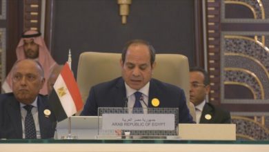 الرئيس المصري يدعو للمحافظة على مفهوم الدفاع العربي المشترك