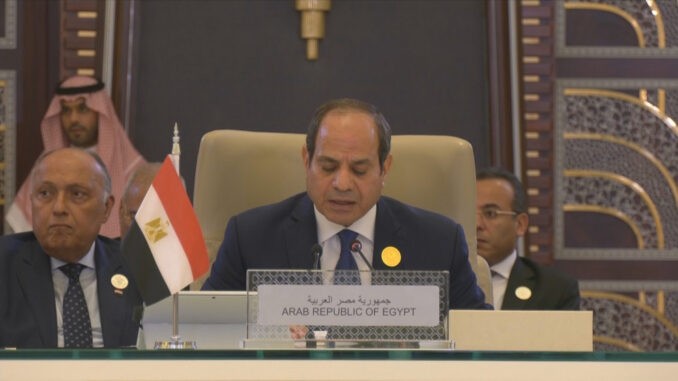 الرئيس المصري يدعو للمحافظة على مفهوم الدفاع العربي المشترك