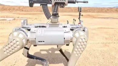 الكلاب الصينية الآلية المسلحة تهدد أمن الولايات المتحدة