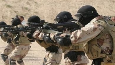 مصادر إعلامية تركية تعلن وصول قوات مصرية إلى سوريا