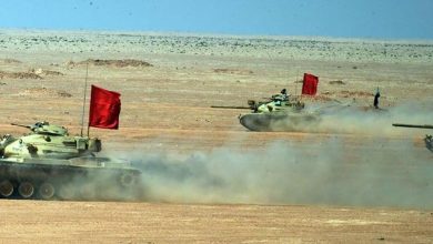 مصر.. تنفيذ المرحلة الختامية للمناورة “رعد-32” بالذخيرة الحية (صور)