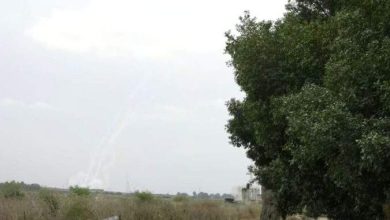 نظاما القبة الحديدية و”تروفي” والوهم الكبير