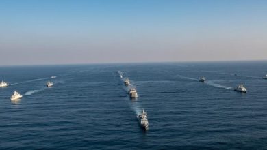 فيديو.. انطلاق تمرين “درع الإمارات المشترك / 50”