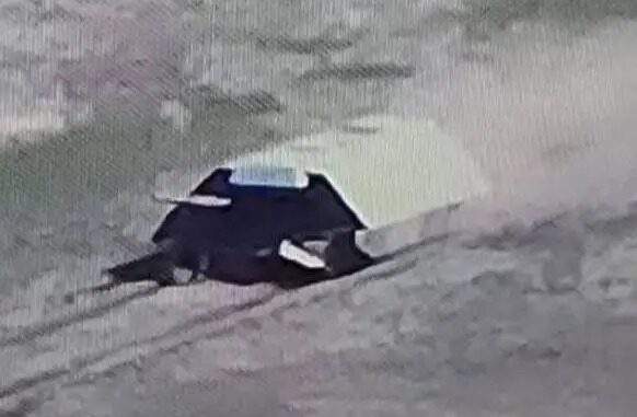 دبابات السلحفاة الروسية.. درعٌ متحرك أم عبءٌ على ساحة المعركة؟