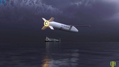 إسرائيل تعرض صاروخ كروز شبحي موجه يسمح بإصابة الاهداف بدقة عالية