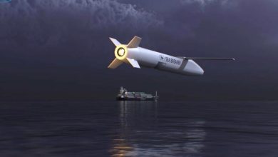 إسرائيل تعرض صاروخ كروز شبحي موجه يسمح بإصابة الاهداف بدقة عالية