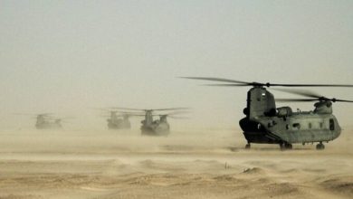 اختتام تمرين درع الإمارات المشترك 51‎‎