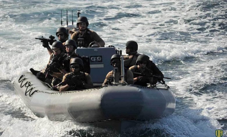 ما هو سلاح الـ”RIB” القتالي الذي أعلن الجيش المصري امتلاكه؟