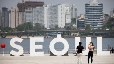 بنيان السياسة العامة لدولة كوريا الجنوبية