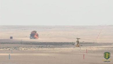 سيناريوهات قتالية في اختتام تمرين “النجم الساطع” في مصر