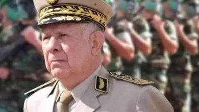 الجيش الجزائري ينفذ تمريناً ليلياً ضخماً بالذخيرة الحية جنوبي البلاد (فيديو)