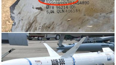 بالفيديو: مقاتلات “ميغ-29” الأوكرانية تطلق صواريخ “هارم” المضادة للإشعاع على أنظمة الدفاع الروسية