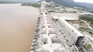 الرئيس المصري يؤكد موقف مصر الثابت بالتوصل لاتفاق قانوني ملزم بشأن سد النهضة