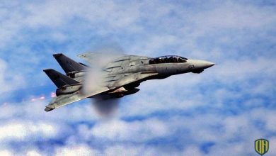 لماذا خشيت القوات الجوية العراقية من مقاتلات “إف-14” الأمريكية في عملية عاصفة الصحراء؟