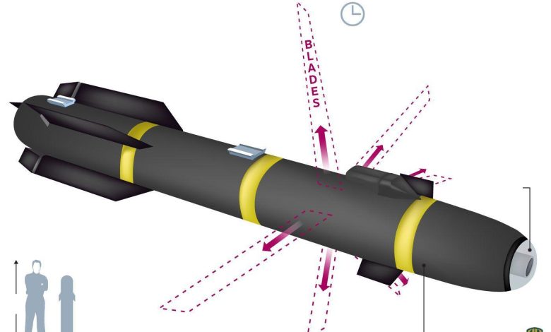 “وول ستريت جورنال”: واشنطن استخدمت سلاح “نينجا” السري في أفغانستان