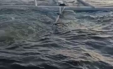 تقرير أميركي: مكونات المسيّرات الإيرانية مصدرها 30 شركة أجنبية