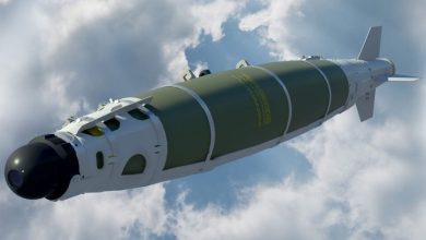 بالصور.. أنواع الأسلحة الأمريكية وأنظمة التسليح التي من المحتمل أن يحصل عليها الأردن