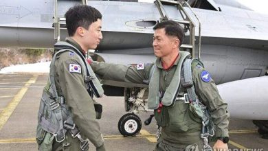 الدفاع الجوي مجال تعاون رئيسي بين كوريا الجنوبية والإمارات العربية المتحدة