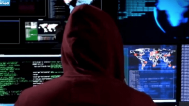 قراصنة يخترقون بيانات النواب والجيش في ألمانيا