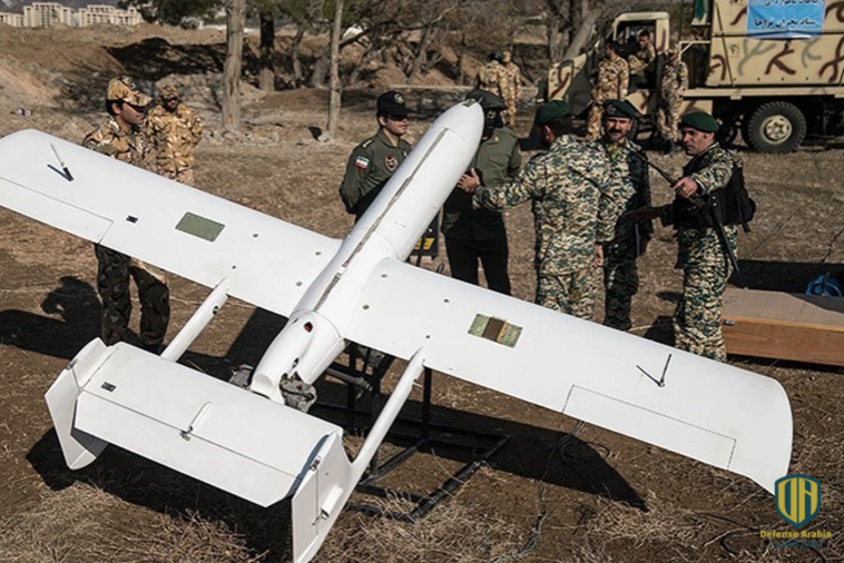 طائرة مهاجر 2