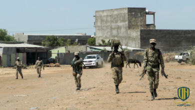 إثيوبيا ترد رسميا على اتهامات أوروبا بشأن “تيغراي”