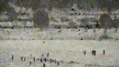 اعتبرها إنتهاكاً للسيادة.. الجيش الإسرائيلي يعلن تدمير نقطة مراقبة للجيش السوري