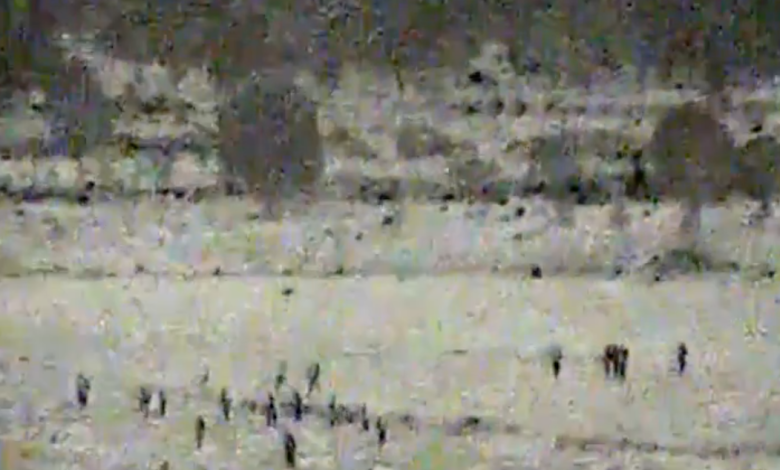 اعتبرها إنتهاكاً للسيادة.. الجيش الإسرائيلي يعلن تدمير نقطة مراقبة للجيش السوري