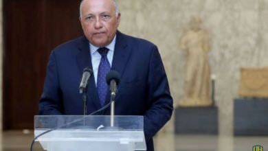 سامح شكري: حجة إثيوبيا أمام مجلس الأمن بشأن سد النهضة كانت ضعيفة ولا ترقى لخطاب القاهرة والخرطوم