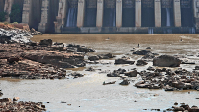 اديس ابابا تعلن تعرضها لهجوم سيبراني بسبب سد النهضة