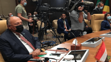 وزير الخارجية المصري في الجزائر.. وهذا موقفه من وجود المرتزقة في ليبيا