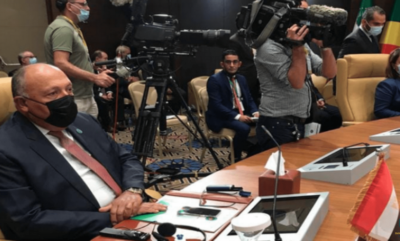 وزير الخارجية المصري في الجزائر.. وهذا موقفه من وجود المرتزقة في ليبيا