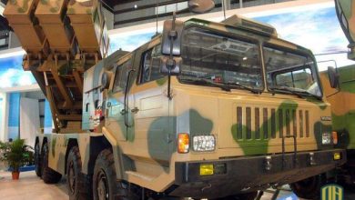 مصر وراجمات الصواريخ