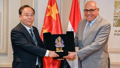 القاهرة وبكين في محادثات هامة.. هل تشتري مصر طائرات “أل-15” الصينية؟