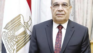 مصر وباكستان تبحثان تعزيز التعاون في الصناعات العسكرية