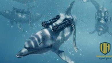 هل تحرس الدلافين المقاتلة حقا سيفاستوبول وجسر القرم؟