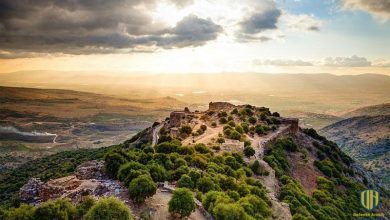 معركة “هادئة” في الجولان