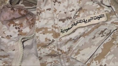 اختتام مناورات “المصير الواحد” بين القوات البرية السعودية والإماراتية (فيديو)