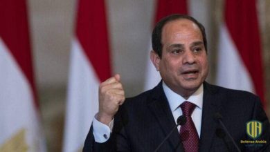 الرئيس السيسي يلتقي وزيرة الجيوش الفرنسية